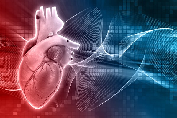 Holter 24 horas Quito